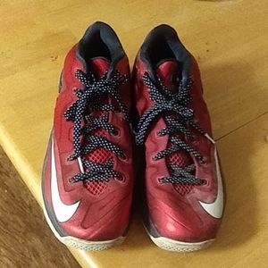 Nike max lebron lows